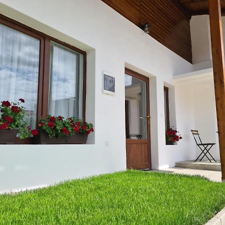 The Cozy Bunker Apartamento Sibiu Exterior foto