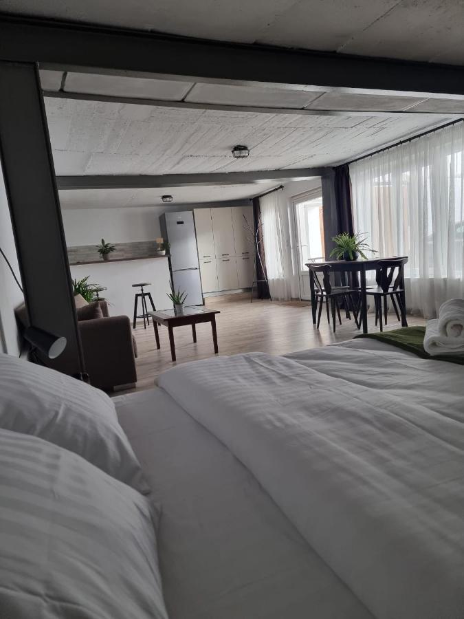 The Cozy Bunker Apartamento Sibiu Exterior foto