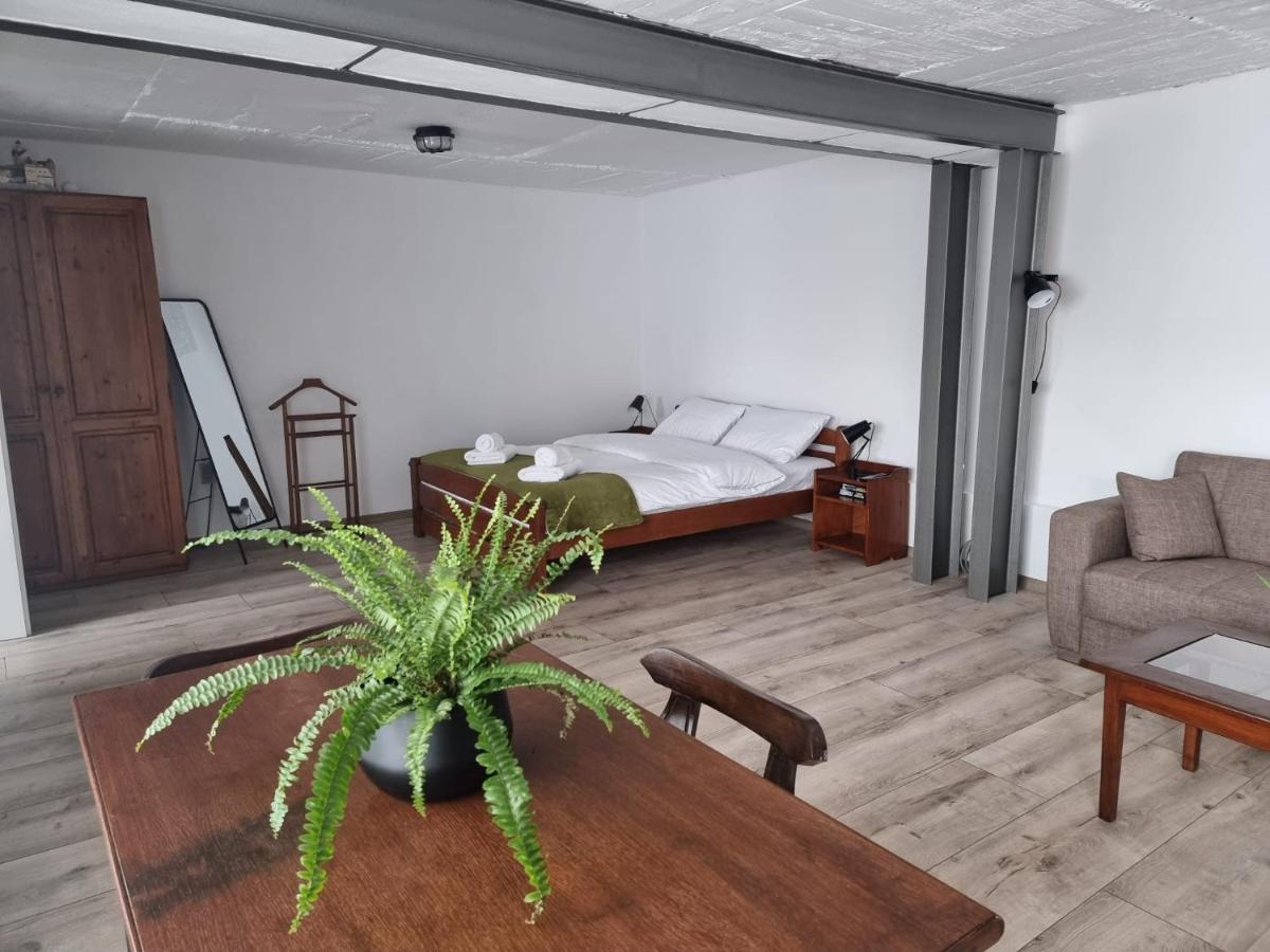 The Cozy Bunker Apartamento Sibiu Exterior foto