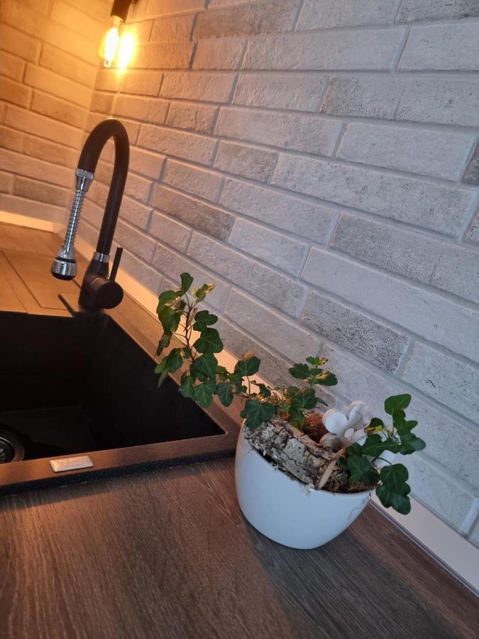 The Cozy Bunker Apartamento Sibiu Exterior foto