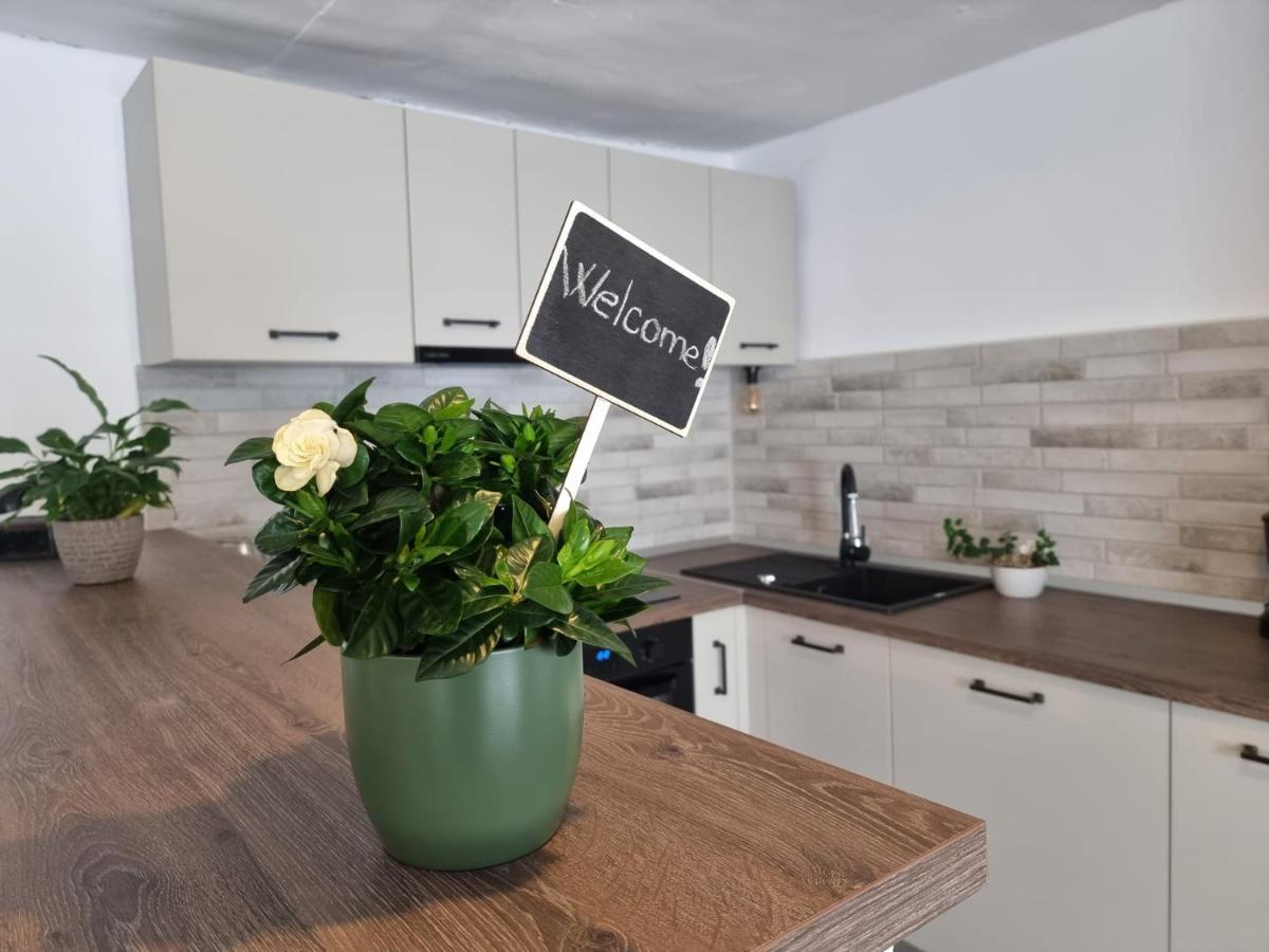 The Cozy Bunker Apartamento Sibiu Exterior foto
